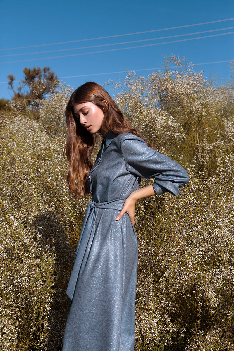 Odine Shirtdress